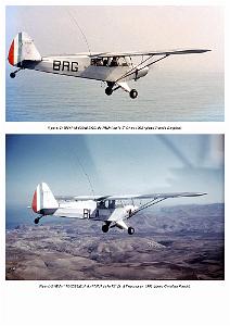 Piper L-21B_000047